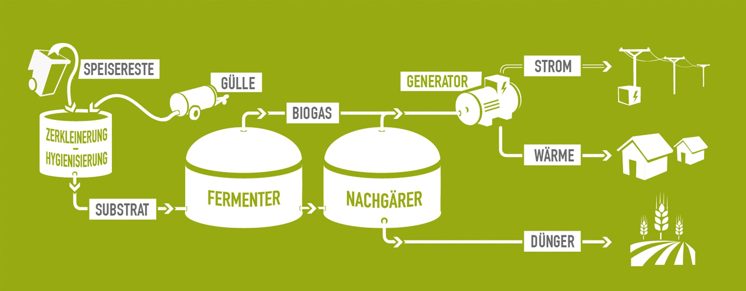 Schaubild_Infografik_Biogasanlage